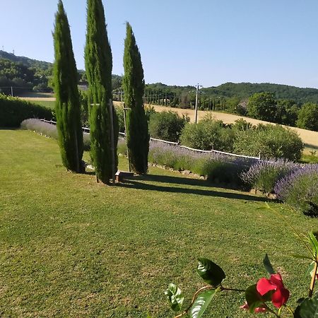 Suite Luna Bianca Assisi Buitenkant foto